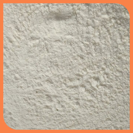  White-Onion-Powder
