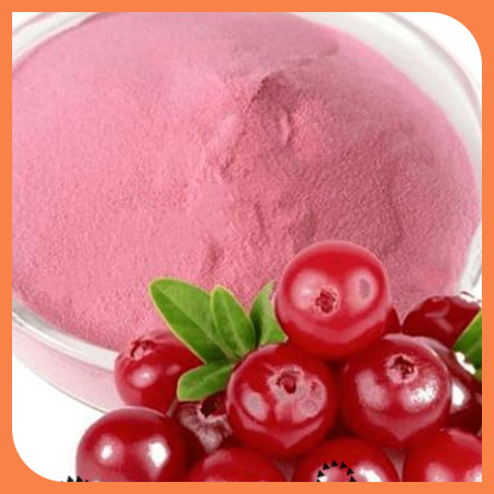 Cranberry powder