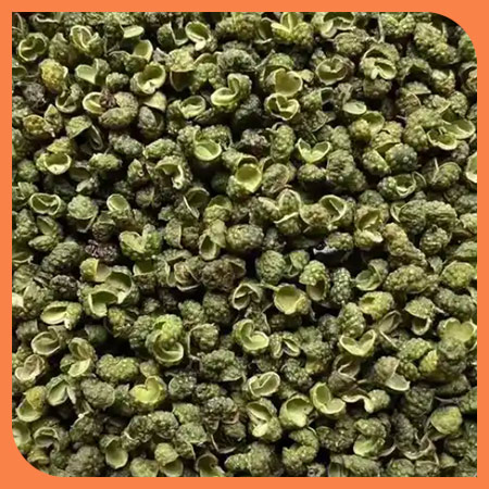 Green shicuan pepper