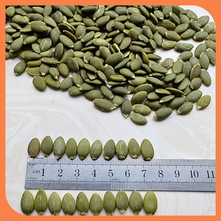 Pumpkin seeds